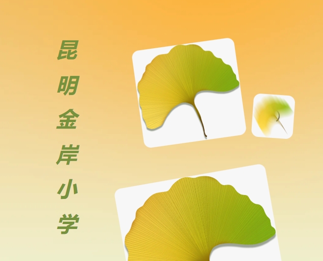 昆明金岸小学.png